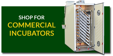 Commercial Incubator / egg-incubators